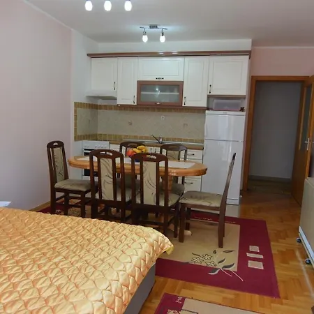 Apartment Nidza